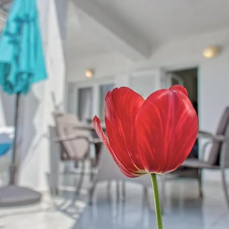 Apartment Birimac *
