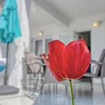 Appartement Birimac *
